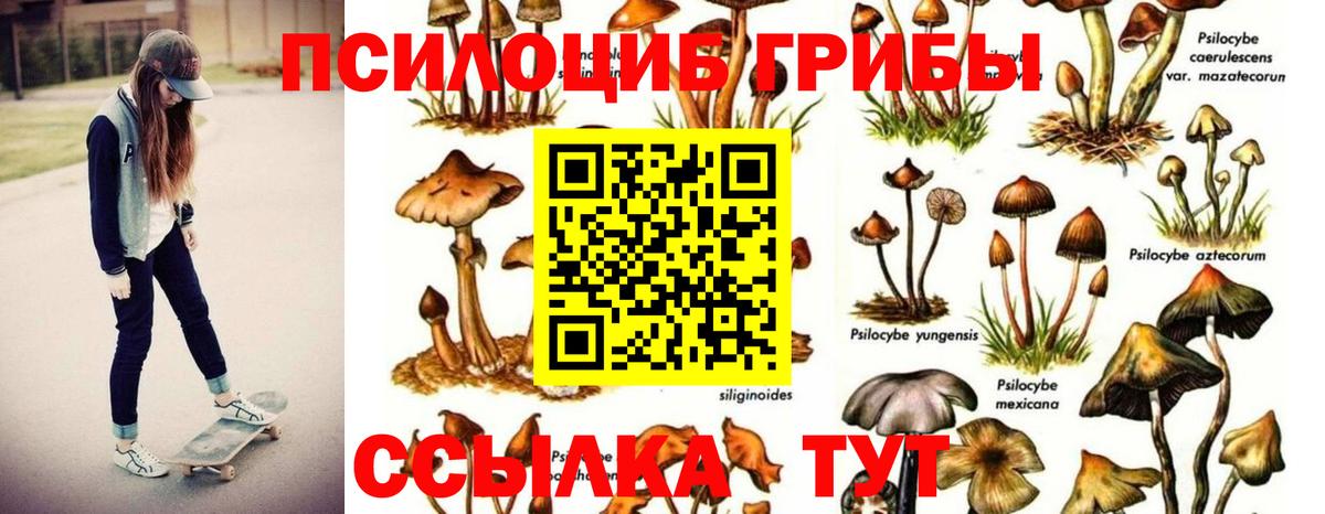 Псилоцибиновые грибы Magic Shrooms Воткинск